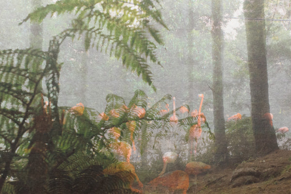 CV109 - Masako Miyazaki –  John K. Grande