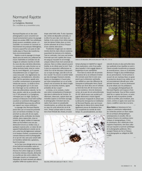 CV115 - Normand Rajotte, Sur les lieux — Mona Hakim