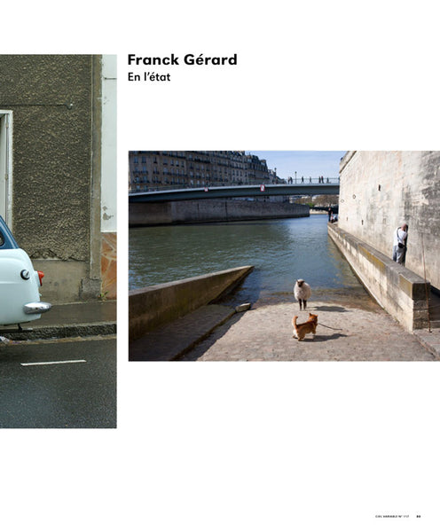 CV117 - Franck Gérard, En l’état — Jacques Leenhardt