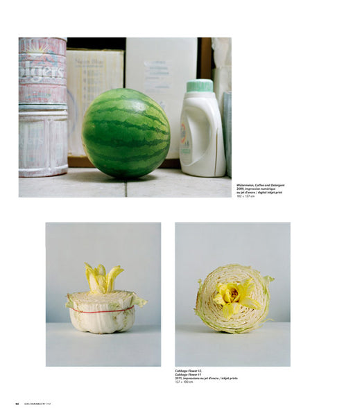 CV117 - Chih-Chien Wang. Don d’images — Sylvain Campeau