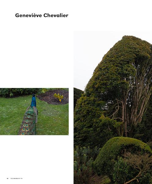 CV119 -  Geneviève Chevalier, Mirement/Towering : La Ménagerie et L’Herbier — Sylvain Campeau